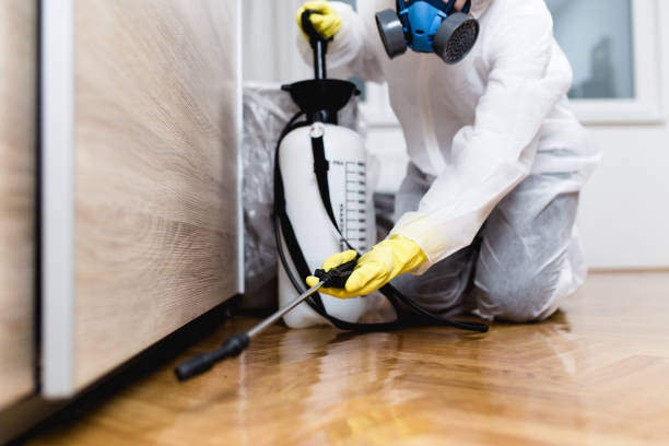 Best Best Pest Control Companies  in Rosebud, TX