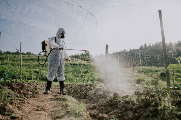 Best Ant Control Services  in Rosebud, TX