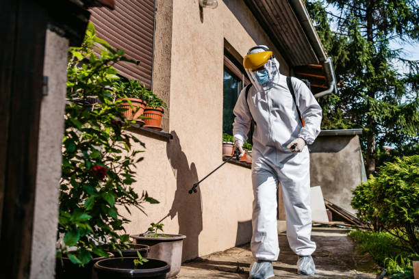 Best Exterminator Services  in Rosebud, TX