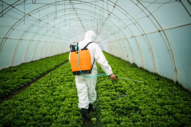 Best Best Pest Control Companies  in Rosebud, TX