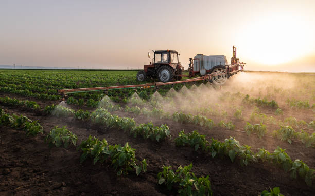 Best Pest Removal Services  in Rosebud, TX