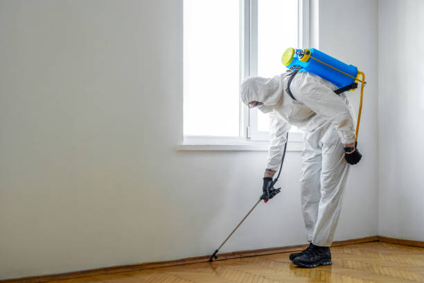 Best Wildlife Control Services  in Rosebud, TX