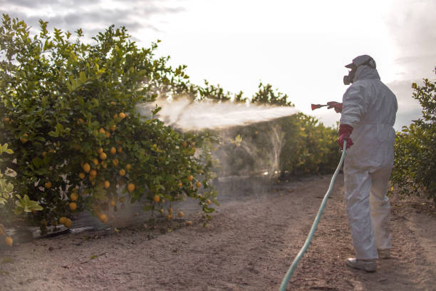 Rosebud, TX Pest Control Company