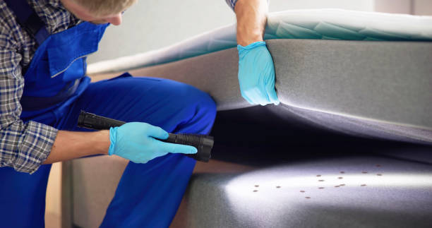Best Pest Removal Services  in Rosebud, TX