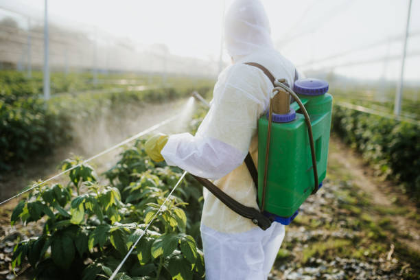 Pest Prevention Services in Rosebud, TX